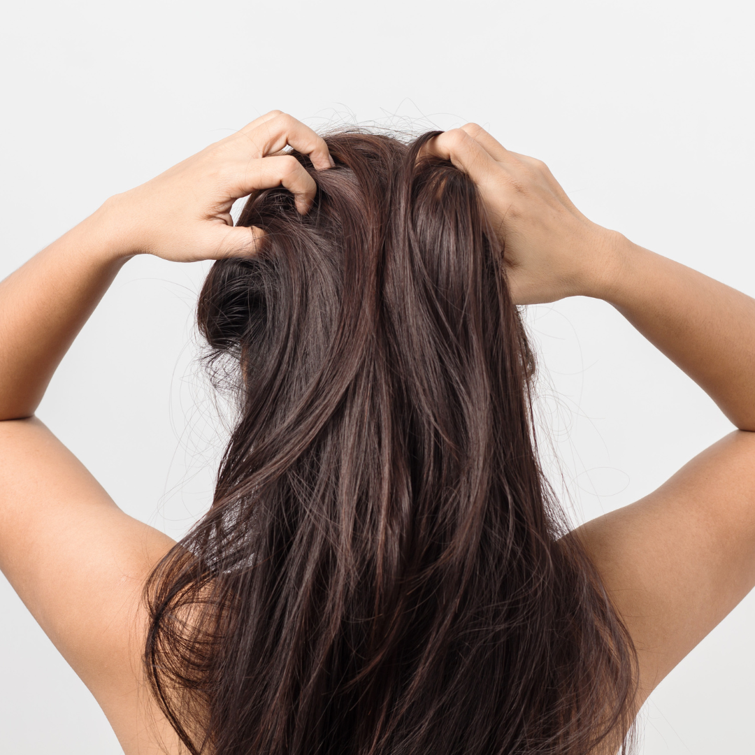 Medley Scalp Massage Brush